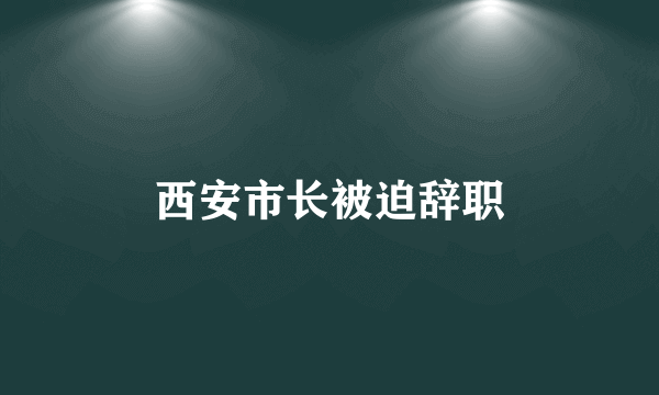 西安市长被迫辞职