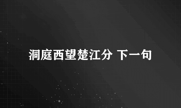 洞庭西望楚江分 下一句