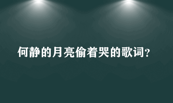 何静的月亮偷着哭的歌词？