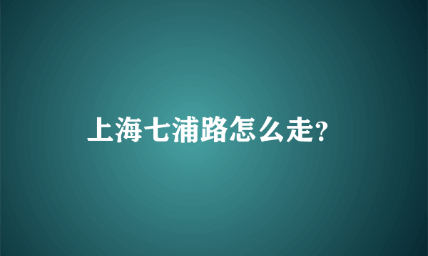 上海七浦路怎么走？