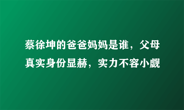 蔡徐坤的爸爸妈妈是谁，父母真实身份显赫，实力不容小觑