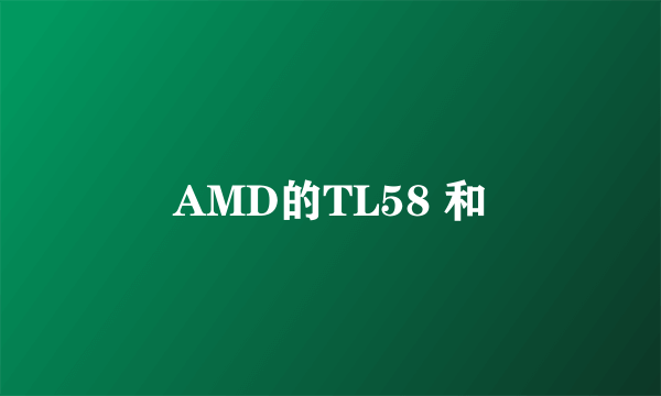 AMD的TL58 和