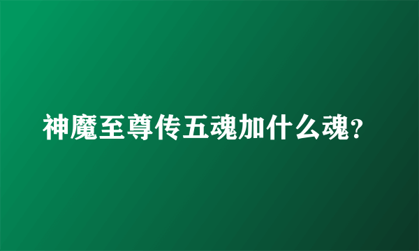 神魔至尊传五魂加什么魂？