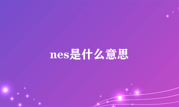 nes是什么意思