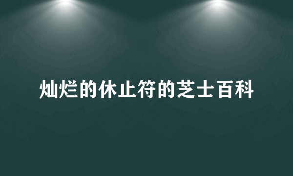 灿烂的休止符的芝士百科