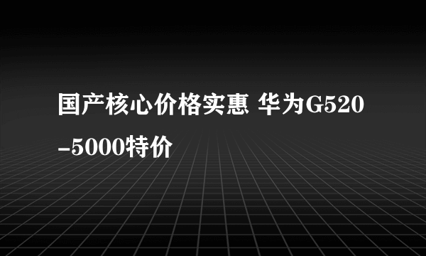 国产核心价格实惠 华为G520-5000特价