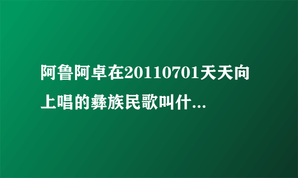 阿鲁阿卓在20110701天天向上唱的彝族民歌叫什么名字？