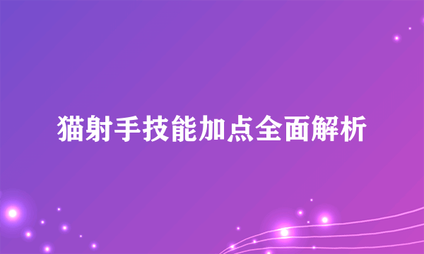 猫射手技能加点全面解析