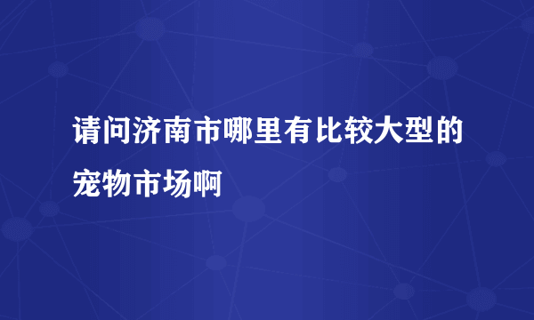 请问济南市哪里有比较大型的宠物市场啊