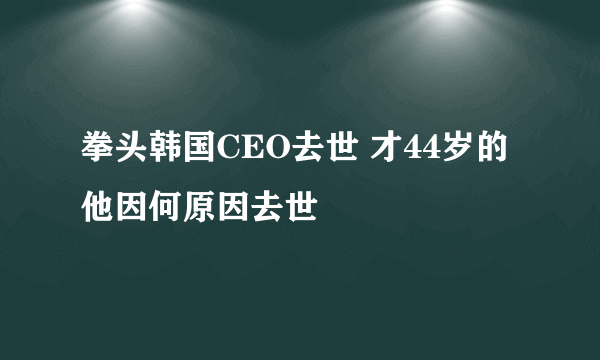 拳头韩国CEO去世 才44岁的他因何原因去世