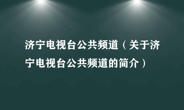 济宁电视台公共频道（关于济宁电视台公共频道的简介）