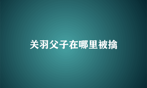 关羽父子在哪里被擒