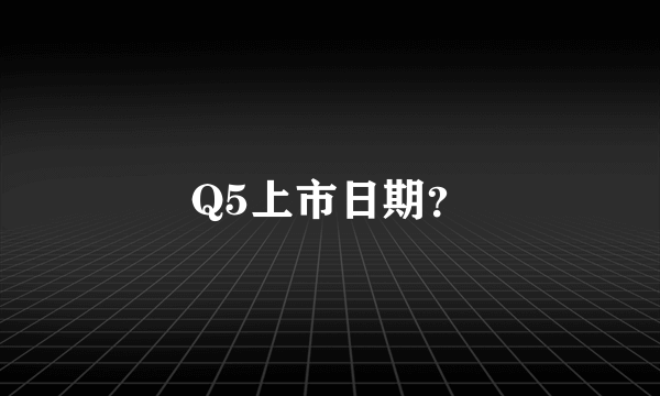 Q5上市日期？