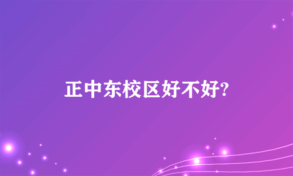 正中东校区好不好?