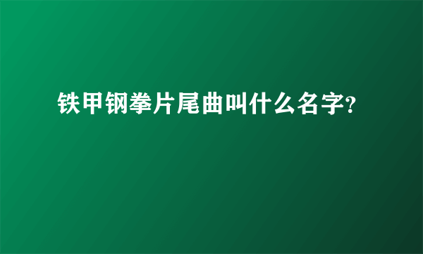 铁甲钢拳片尾曲叫什么名字？