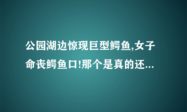 公园湖边惊现巨型鳄鱼,女子命丧鳄鱼口!那个是真的还是假的啊