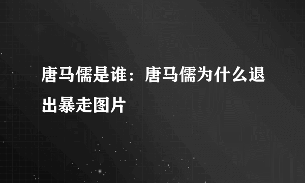 唐马儒是谁：唐马儒为什么退出暴走图片