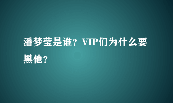 潘梦莹是谁？VIP们为什么要黑他？