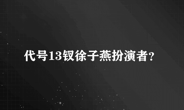 代号13钗徐子燕扮演者？