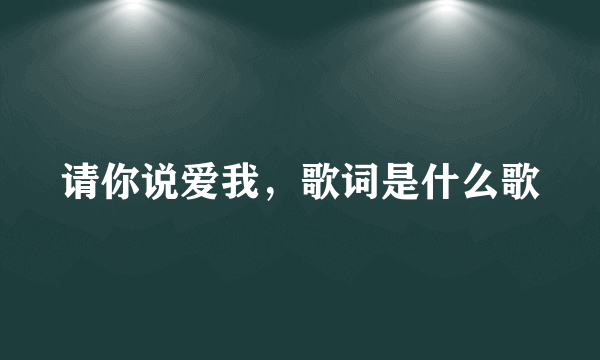 请你说爱我，歌词是什么歌