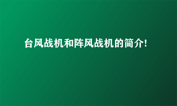 台风战机和阵风战机的简介!