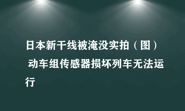 日本新干线被淹没实拍（图） 动车组传感器损坏列车无法运行