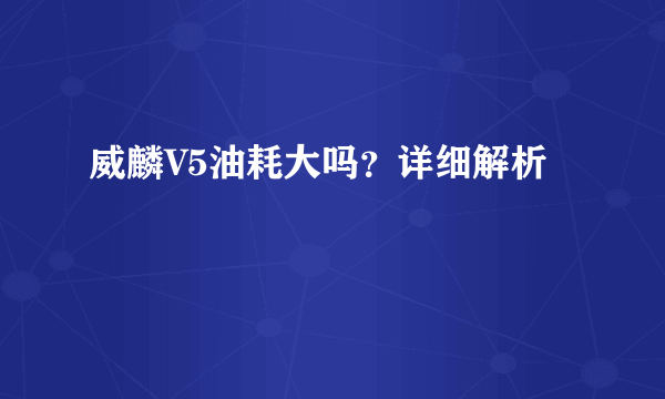 威麟V5油耗大吗？详细解析