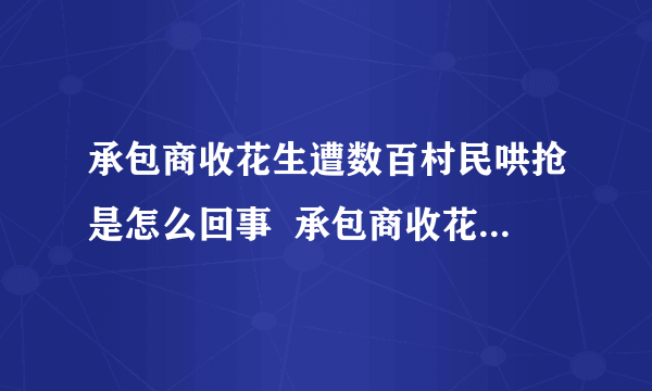 承包商收花生遭数百村民哄抢是怎么回事  承包商收花生为什么遭数百村民哄抢