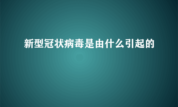 新型冠状病毒是由什么引起的