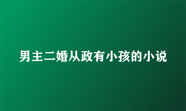 男主二婚从政有小孩的小说