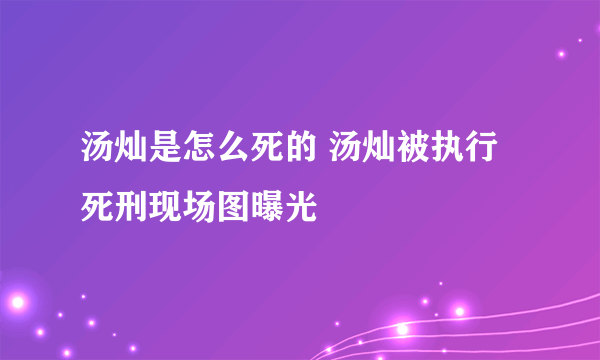 汤灿是怎么死的 汤灿被执行死刑现场图曝光