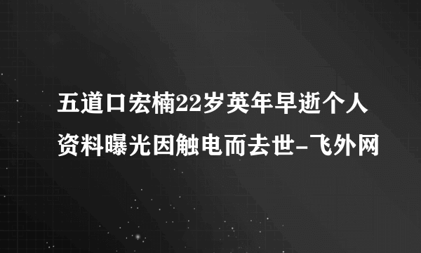 五道口宏楠22岁英年早逝个人资料曝光因触电而去世-飞外网