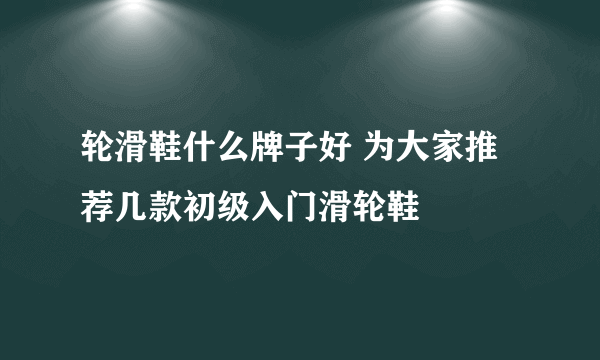 轮滑鞋什么牌子好 为大家推荐几款初级入门滑轮鞋