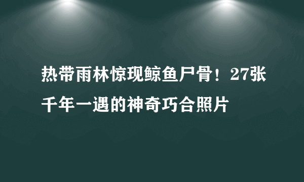 热带雨林惊现鲸鱼尸骨！27张千年一遇的神奇巧合照片