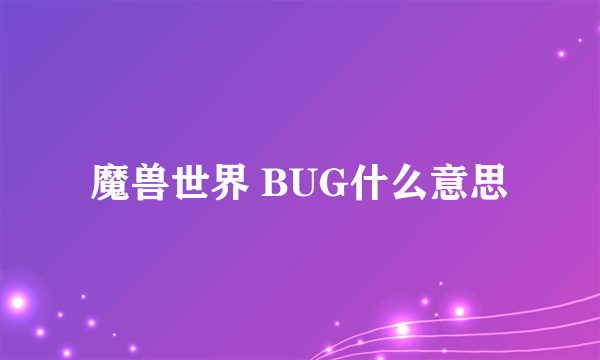 魔兽世界 BUG什么意思