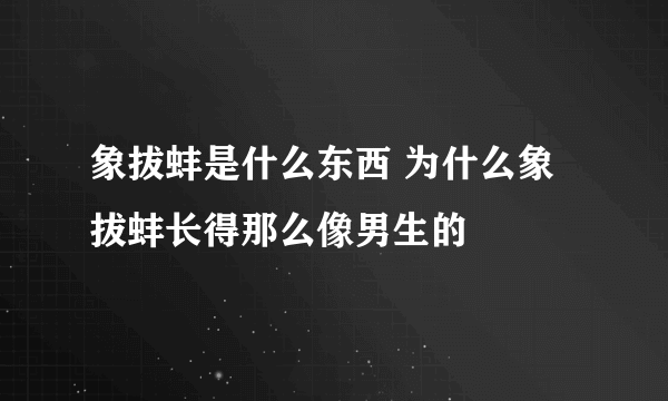 象拔蚌是什么东西 为什么象拔蚌长得那么像男生的