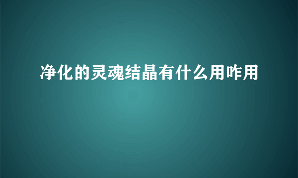 净化的灵魂结晶有什么用咋用