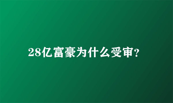 28亿富豪为什么受审？