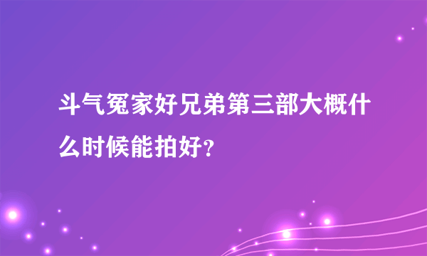 斗气冤家好兄弟第三部大概什么时候能拍好？