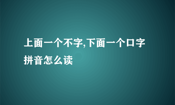 上面一个不字,下面一个口字拼音怎么读