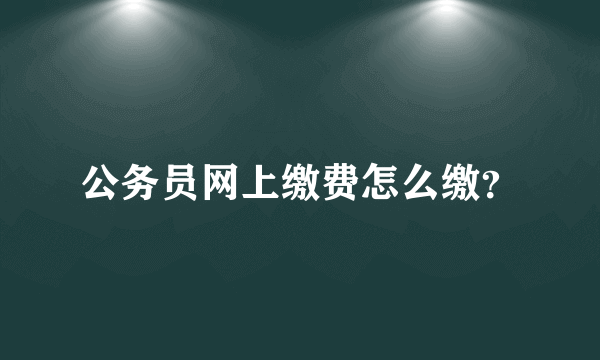 公务员网上缴费怎么缴？