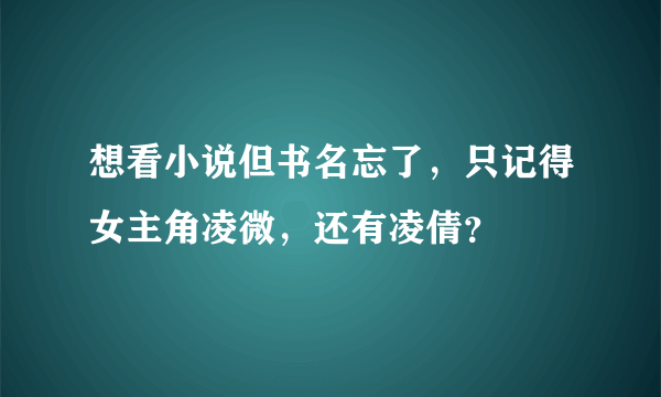 想看小说但书名忘了，只记得女主角凌微，还有凌倩？