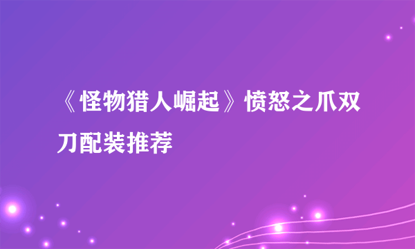 《怪物猎人崛起》愤怒之爪双刀配装推荐