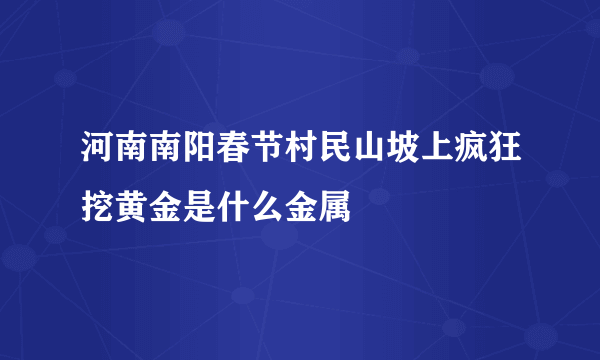 河南南阳春节村民山坡上疯狂挖黄金是什么金属