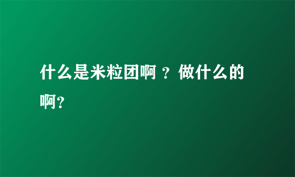 什么是米粒团啊 ？做什么的啊？