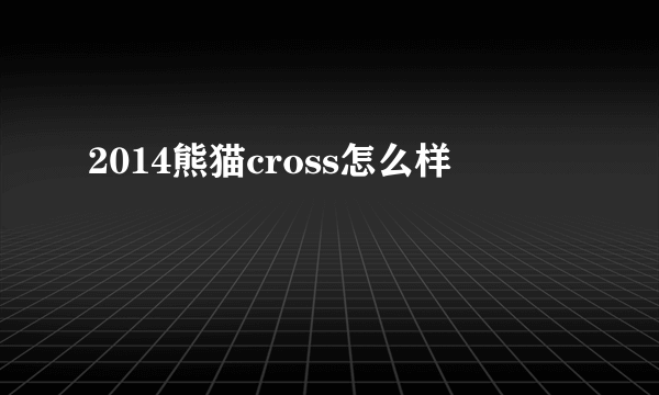 2014熊猫cross怎么样