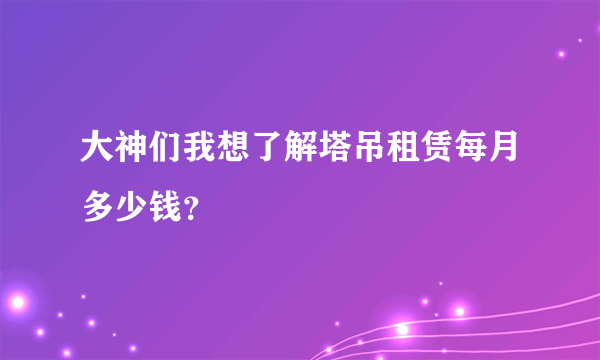 大神们我想了解塔吊租赁每月多少钱？