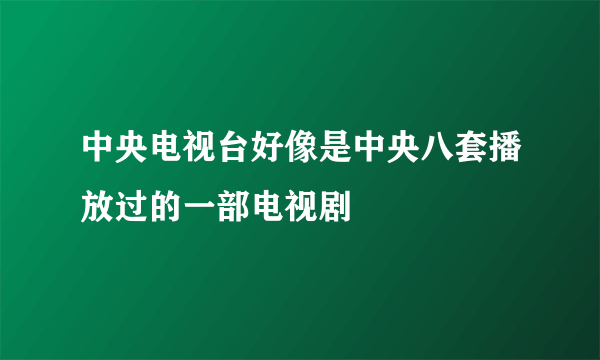 中央电视台好像是中央八套播放过的一部电视剧