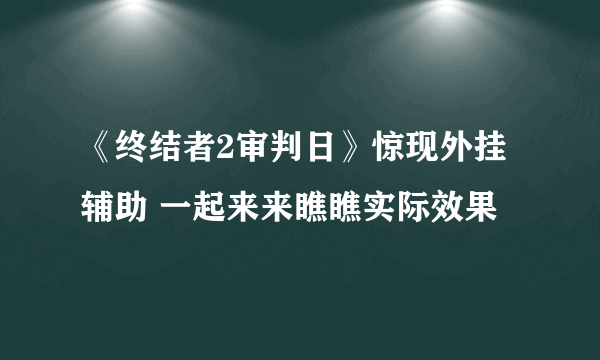 《终结者2审判日》惊现外挂辅助 一起来来瞧瞧实际效果