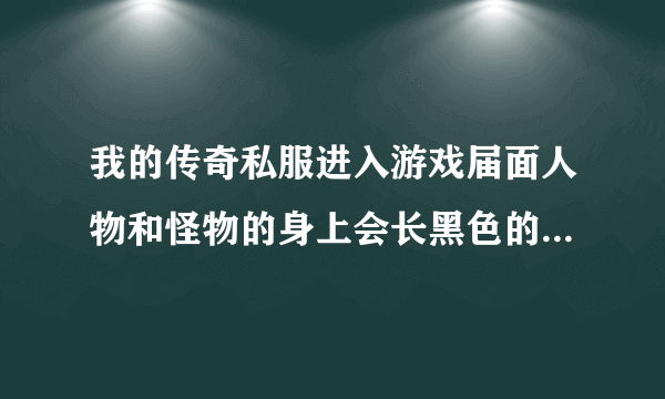 我的传奇私服进入游戏届面人物和怪物的身上会长黑色的翅膀是怎么回事?